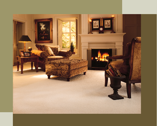 Carpet Care Reccommendations